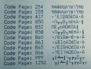 Device Install D POS-CodePage