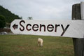 โลโก้ Scenery